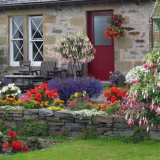 Jak vyzdobit přední zahradu před domem vlastními rukama - nápady na...